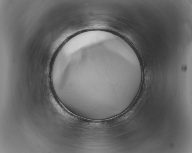 X0000114411422200911061550