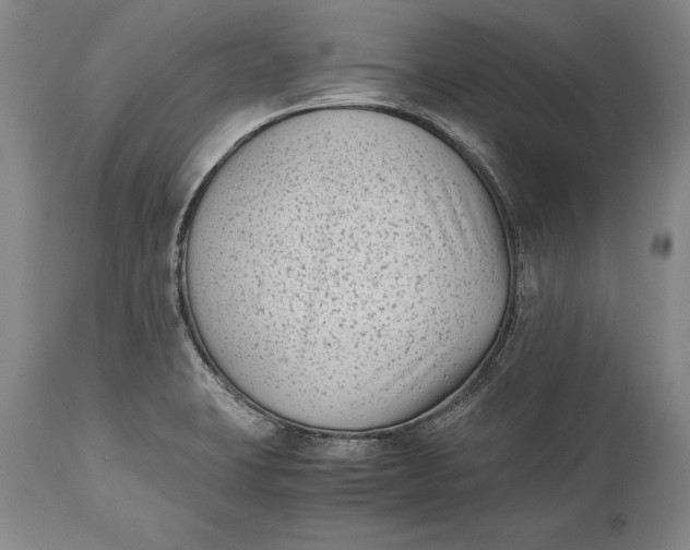 X0000114411423200911061550