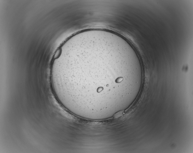 X0000114411424200911061550