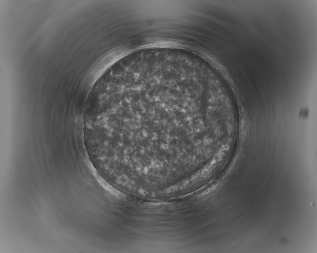 X0000114411425200911061550