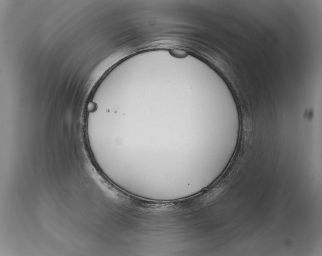 X0000114411426200911061550