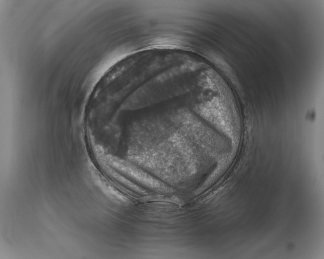 X0000114411427200911061550