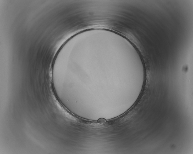 X0000114411428200911061550