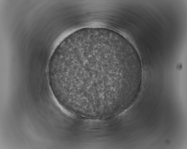 X0000114411429200911061550