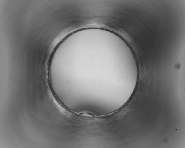 X0000114411430200911061550