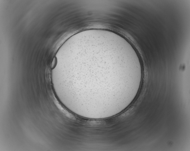 X0000114411433200911061550