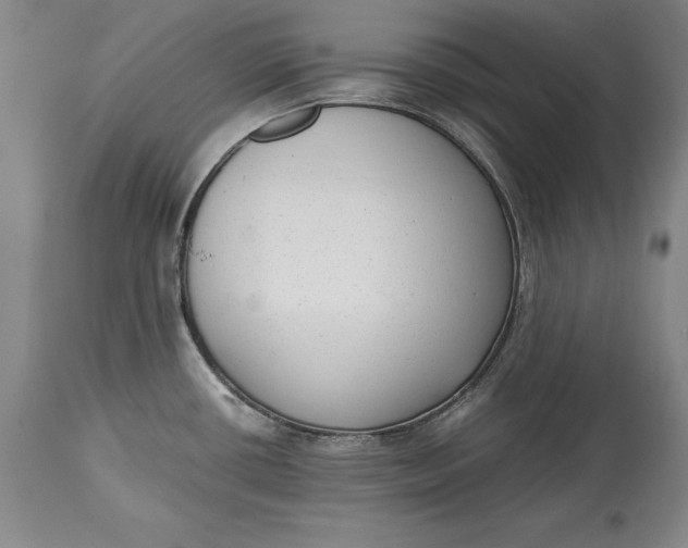 X0000114411434200911061550