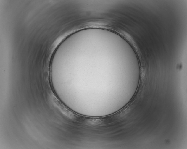 X0000114411435200911061550