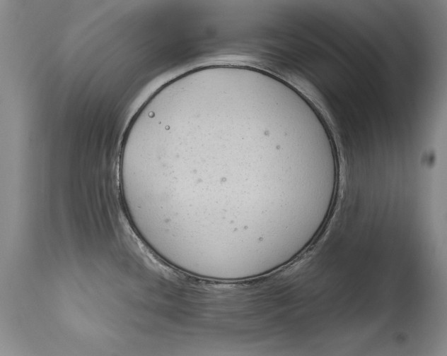 X0000114411436200911061550