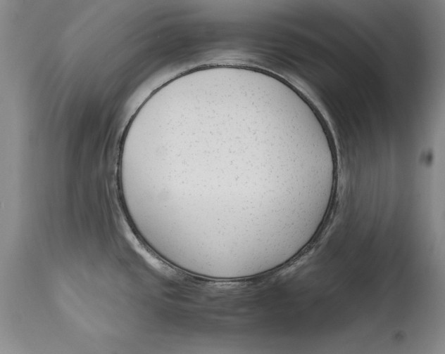 X0000114411437200911061550