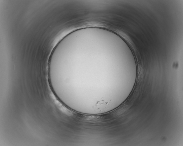 X0000114411439200911061550