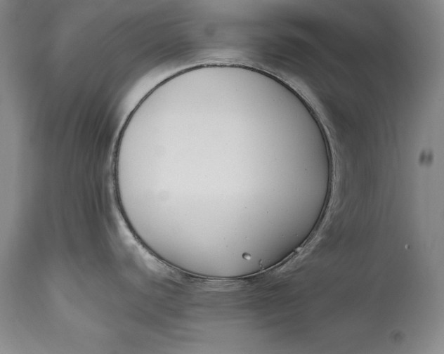 X0000114411440200911061550