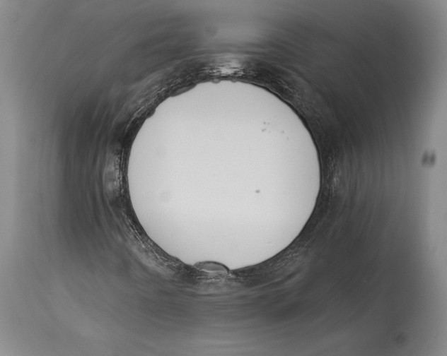 X0000114411442200911061550