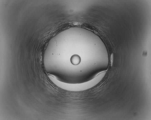 X0000114411443200911061550