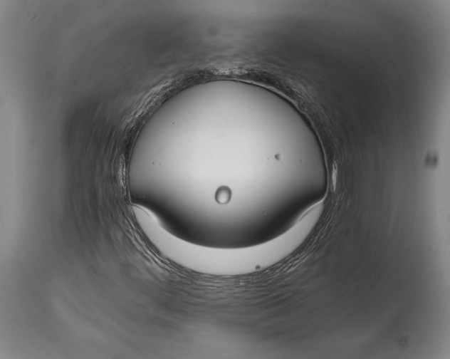 X0000114411444200911061550