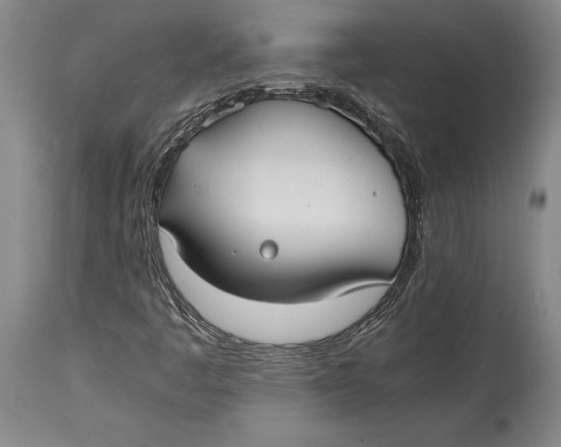 X0000114411445200911061550