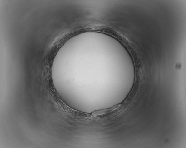 X0000114411447200911061550