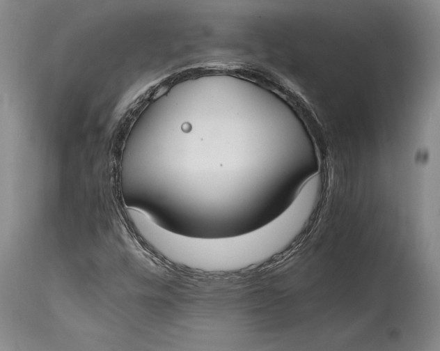 X0000114411448200911061550