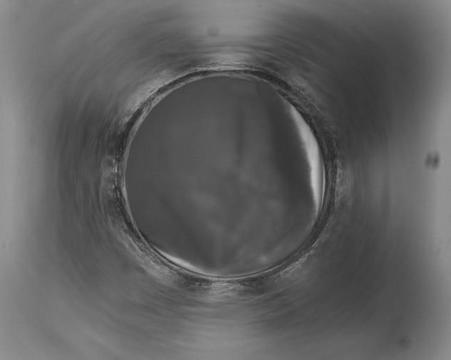 X0000114411449200911061550