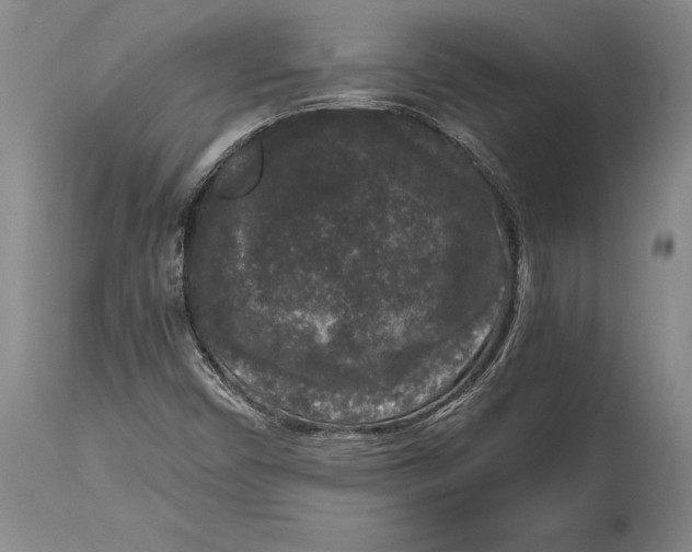 X0000114411450200911061550