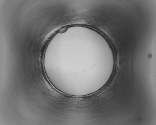 X0000114411452200911061550