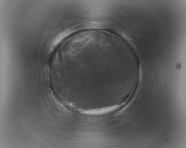 X0000114411453200911061550