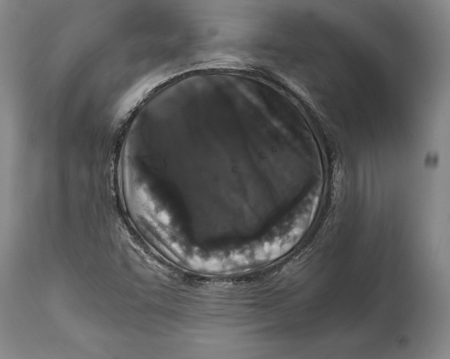 X0000114411455200911061550