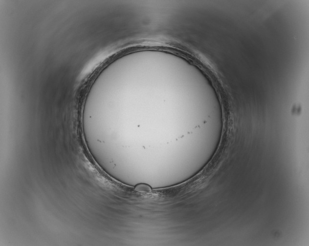 X0000114411456200911061549