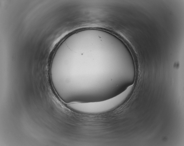 X0000114411460200911061549