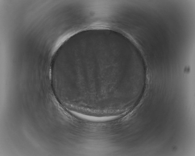 X0000114411461200911061549