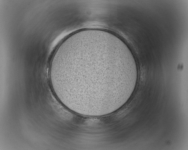 X0000114411462200911061549