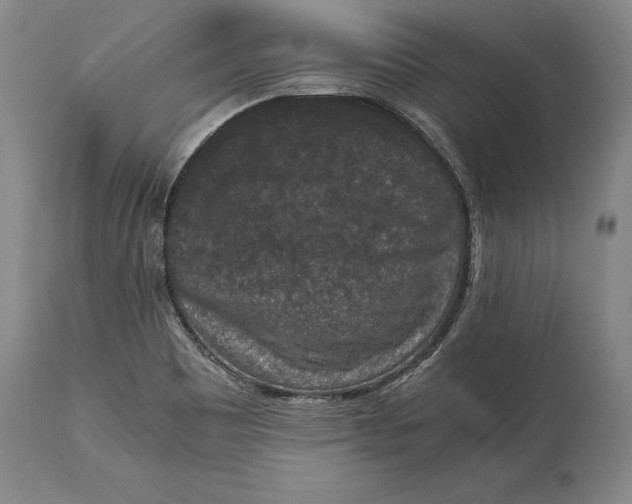 X0000114411465200911061549