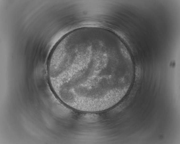X0000114411466200911061549