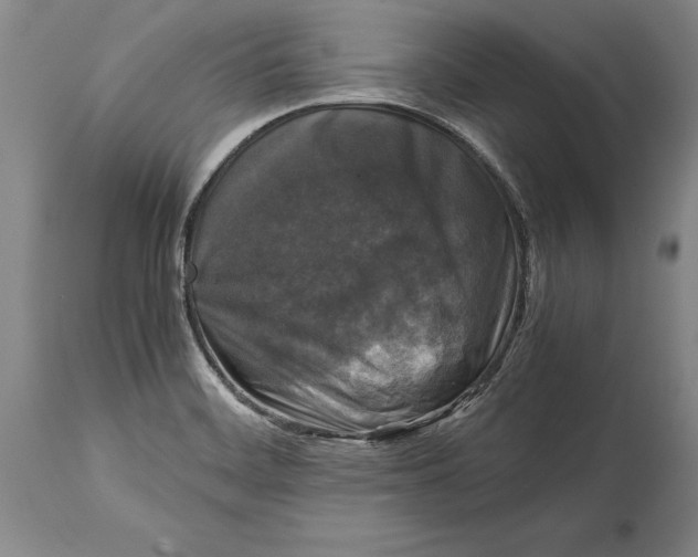 X0000114411468200911061549