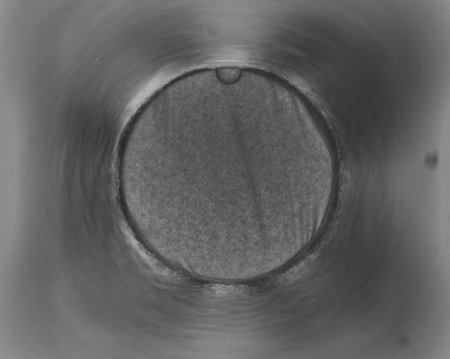 X0000114411469200911061549