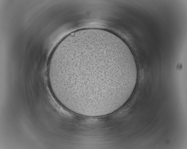 X0000114411470200911061549