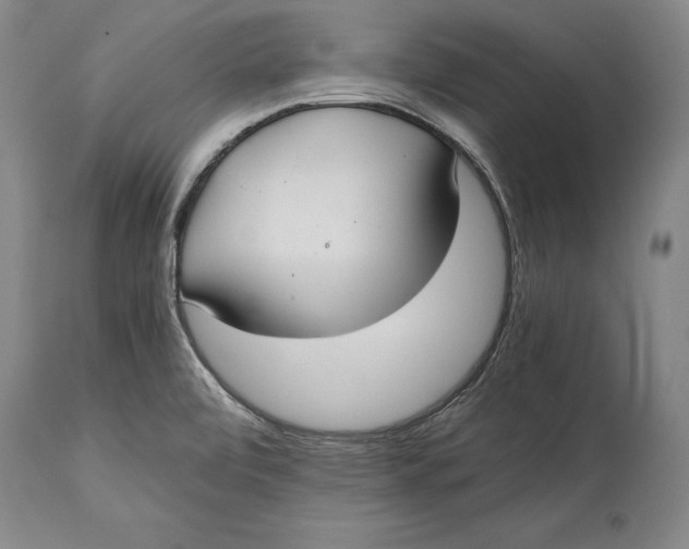 X0000114411472200911061549