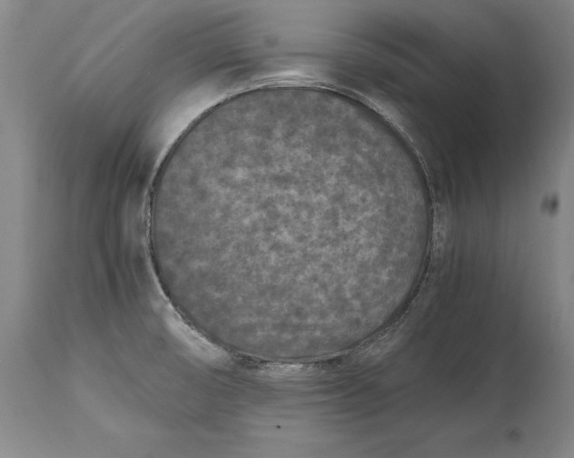 X0000114411474200911061549