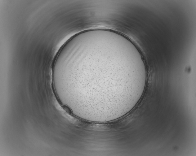 X0000114411476200911061549