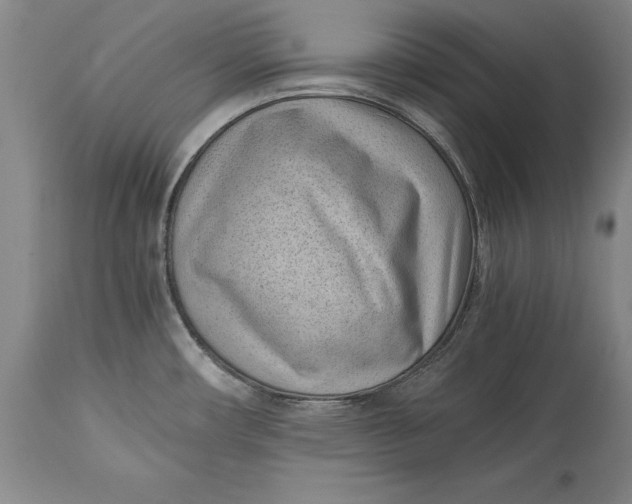 X0000114411482200911061549