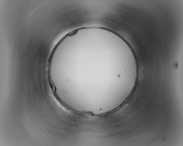 X0000114411484200911061549