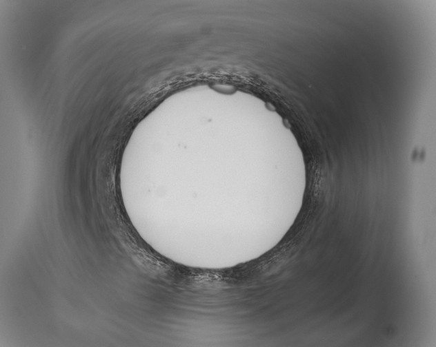 X0000114411489200911061548