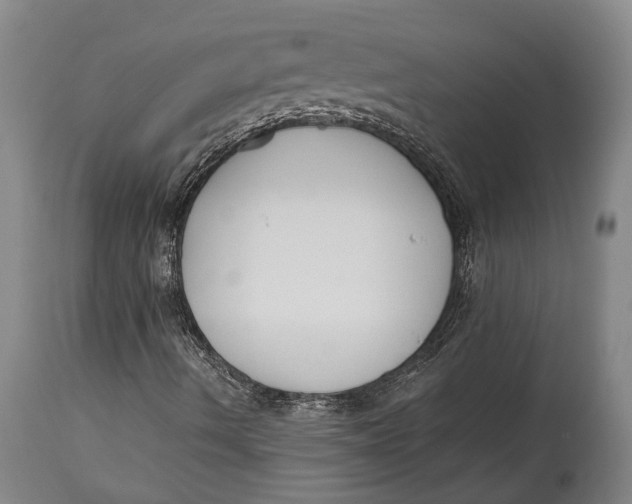 X0000114411490200911061548