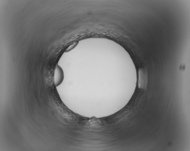 X0000114411491200911061548