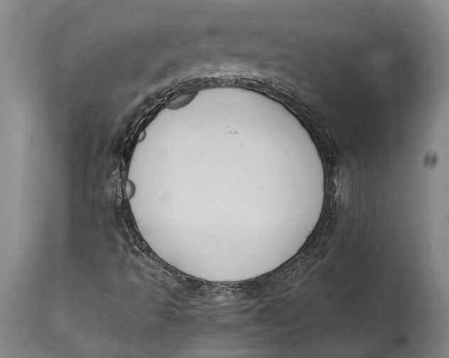 X0000114411493200911061548