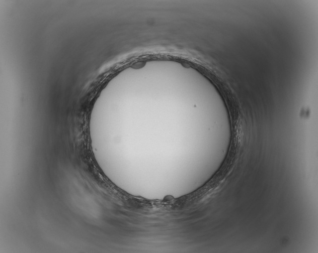 X0000114411494200911061548
