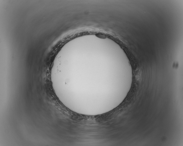 X0000114411495200911061548