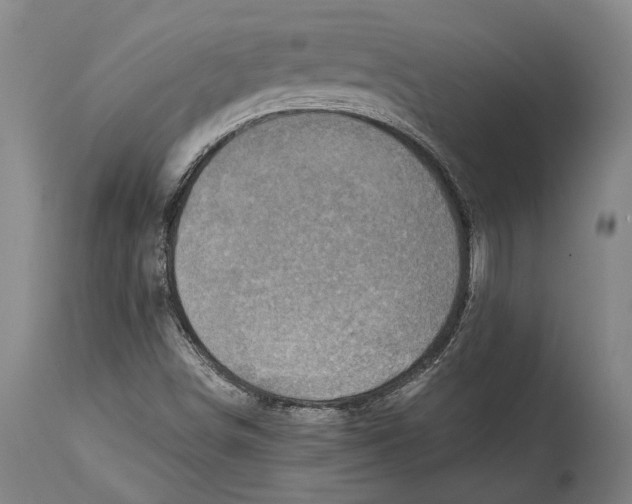 X0000114411498200911061548