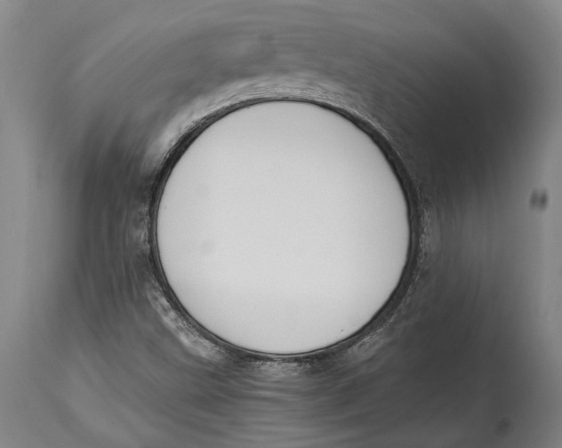 X0000114411499200911061548