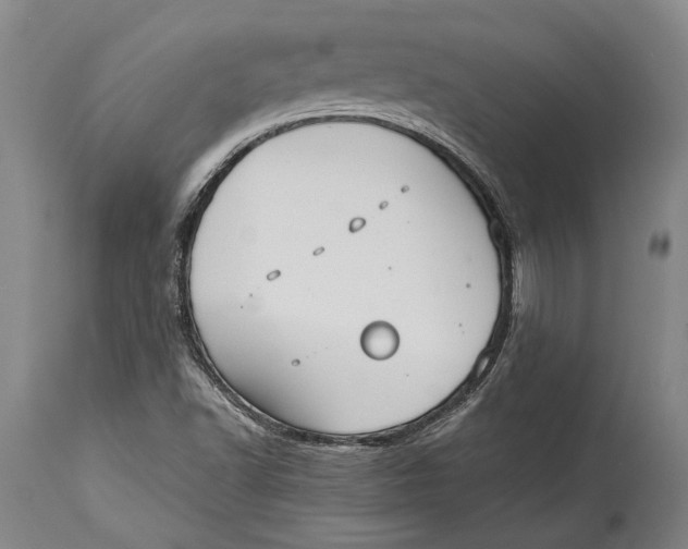 X0000114411502200911061549